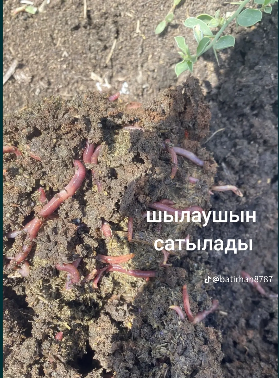 Тыңайтқыш огородқа арналған