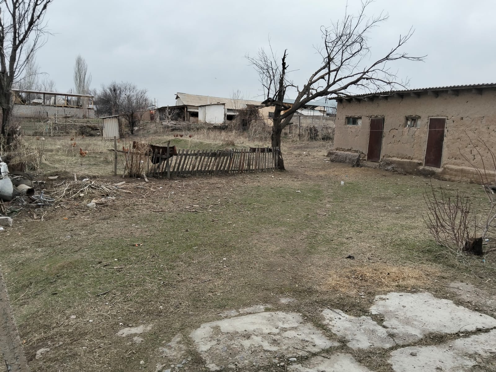 Отырар 53 үй сатылады