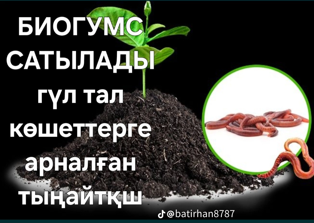 Тыңайтқыш огородқа арналған